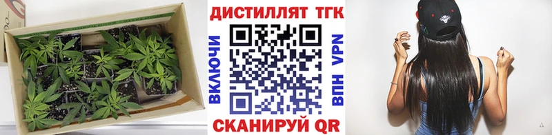 Дистиллят ТГК концентрат  MEGA зеркало  Аркадак 