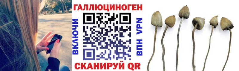blacksprut онион  площадка как зайти  Галлюциногенные грибы мицелий  Аркадак 